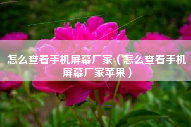 怎么查看手机屏幕厂家（怎么查看手机屏幕厂家苹果）