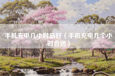 手机充电几小时最好（手机充电几个小时合适）