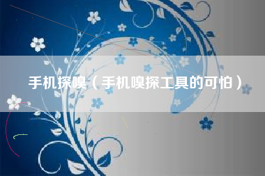 手机探嗅（手机嗅探工具的可怕）