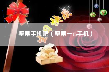 坚果手机吧（坚果一tb手机）