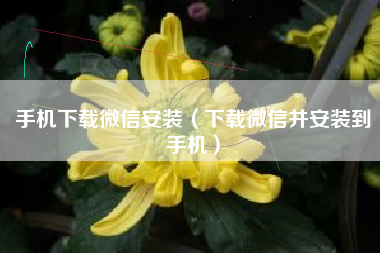 手机下载微信安装（下载微信并安装到手机）