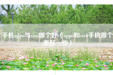 手机oppo与vivo哪个好（oppo和vivo手机哪个更好一些）