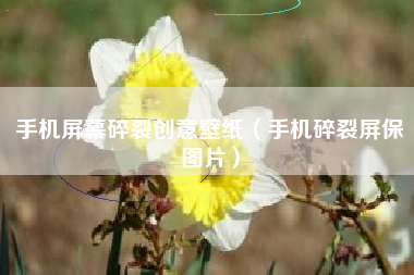 手机屏幕碎裂创意壁纸（手机碎裂屏保图片）