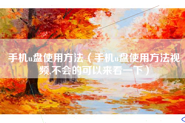手机u盘使用方法（手机u盘使用方法视频,不会的可以来看一下）