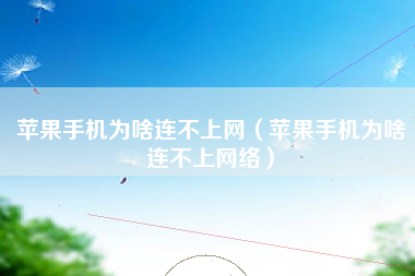 苹果手机为啥连不上网（苹果手机为啥连不上网络）
