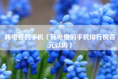 耗电慢的手机（耗电慢的手机排行榜百元以内）