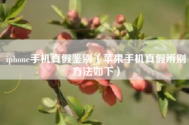 iphone手机真假鉴别（苹果手机真假辨别方法如下）