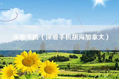 深爱手机（深爱手机胡海加拿大）