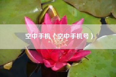 空中手机（空中手机号）