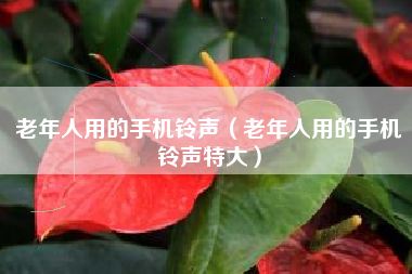 老年人用的手机铃声（老年人用的手机铃声特大）