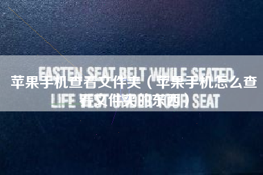 苹果手机查看文件夹（苹果手机怎么查看文件夹的东西）