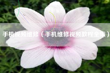 手机视频维修（手机维修视频教程全集）
