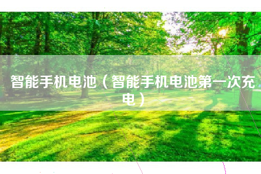 智能手机电池（智能手机电池第一次充电）