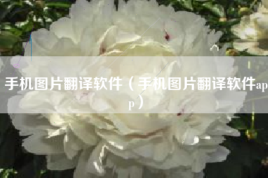 手机图片翻译软件（手机图片翻译软件app）
