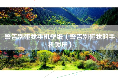 警告别碰我手机壁纸（警告别碰我的手机锁屏）