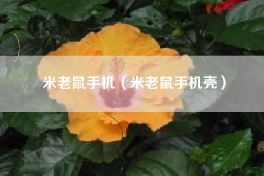 米老鼠手机（米老鼠手机壳）