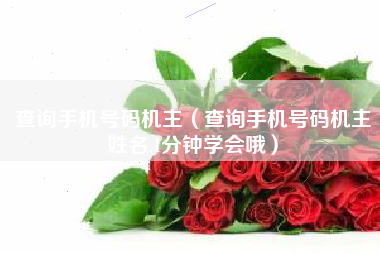 查询手机号码机主（查询手机号码机主姓名,1分钟学会哦）