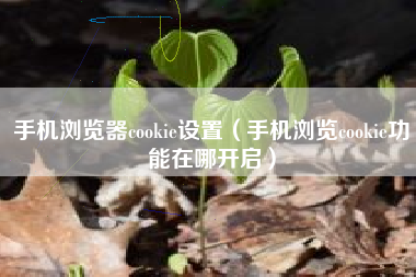 手机浏览器cookie设置（手机浏览cookie功能在哪开启）