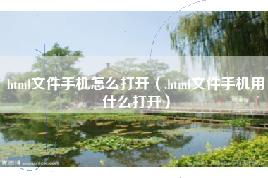 html文件手机怎么打开（.html文件手机用什么打开）