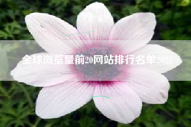 全球浏览量前20网站排行名单2022