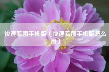 快速看图手机版（快速看图手机版怎么用）
