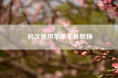 初次使用苹果手机教程
