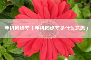 手机网络差（手机网络差是什么意思）