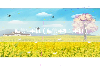 海信5g手机（海信手机5g手机）