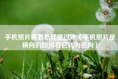 手机照片横着怎样竖过来（手机照片是横向的如何将它转为竖向）