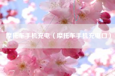 摩托车手机充电（摩托车手机充电口）