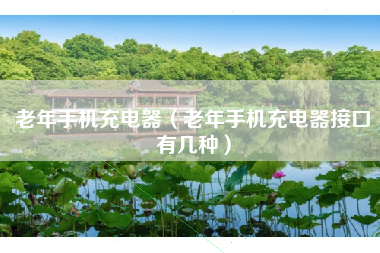 老年手机充电器（老年手机充电器接口有几种）