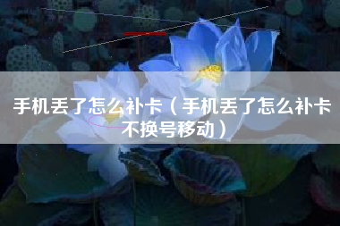 手机丢了怎么补卡（手机丢了怎么补卡不换号移动）