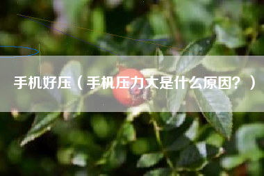 手机好压（手机压力大是什么原因？）