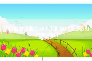 手机泡水了怎么办（手机泡水了怎么办教你一招）