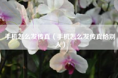 手机怎么发传真（手机怎么发传真给别人）