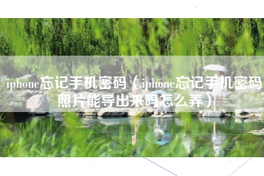 iphone忘记手机密码（iphone忘记手机密码照片能导出来吗怎么弄）
