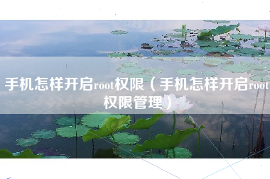 手机怎样开启root权限（手机怎样开启root权限管理）
