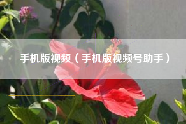 手机版视频（手机版视频号助手）