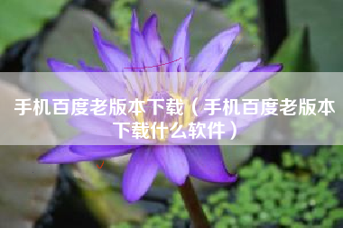 手机百度老版本下载（手机百度老版本下载什么软件）
