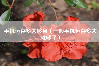 手机运存多大够用（一般手机运存多大就够了）