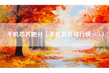 手机芯片跑分（手机芯片排行榜2024）