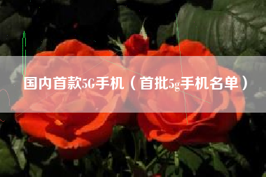 国内首款5G手机（首批5g手机名单）