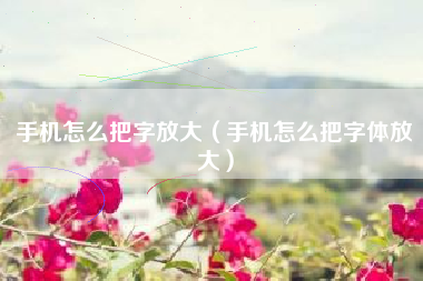 手机怎么把字放大（手机怎么把字体放大）