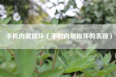 手机内屏损坏（手机内屏损坏的表现）