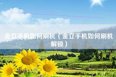 金立手机如何刷机（金立手机如何刷机解锁）