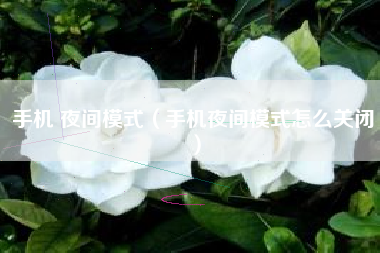 手机 夜间模式（手机夜间模式怎么关闭）