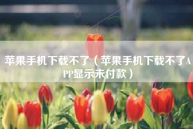 苹果手机下载不了（苹果手机下载不了APP显示未付款）