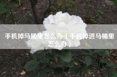 手机掉马桶里怎么办（手机掉进马桶里怎么办）
