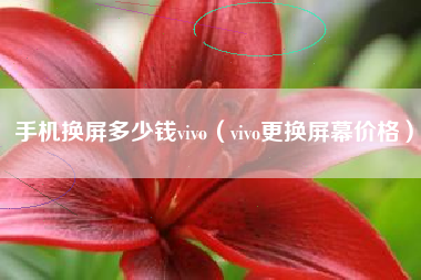 手机换屏多少钱vivo（vivo更换屏幕价格）