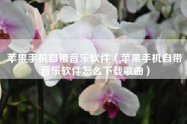 苹果手机自带音乐软件（苹果手机自带音乐软件怎么下载歌曲）